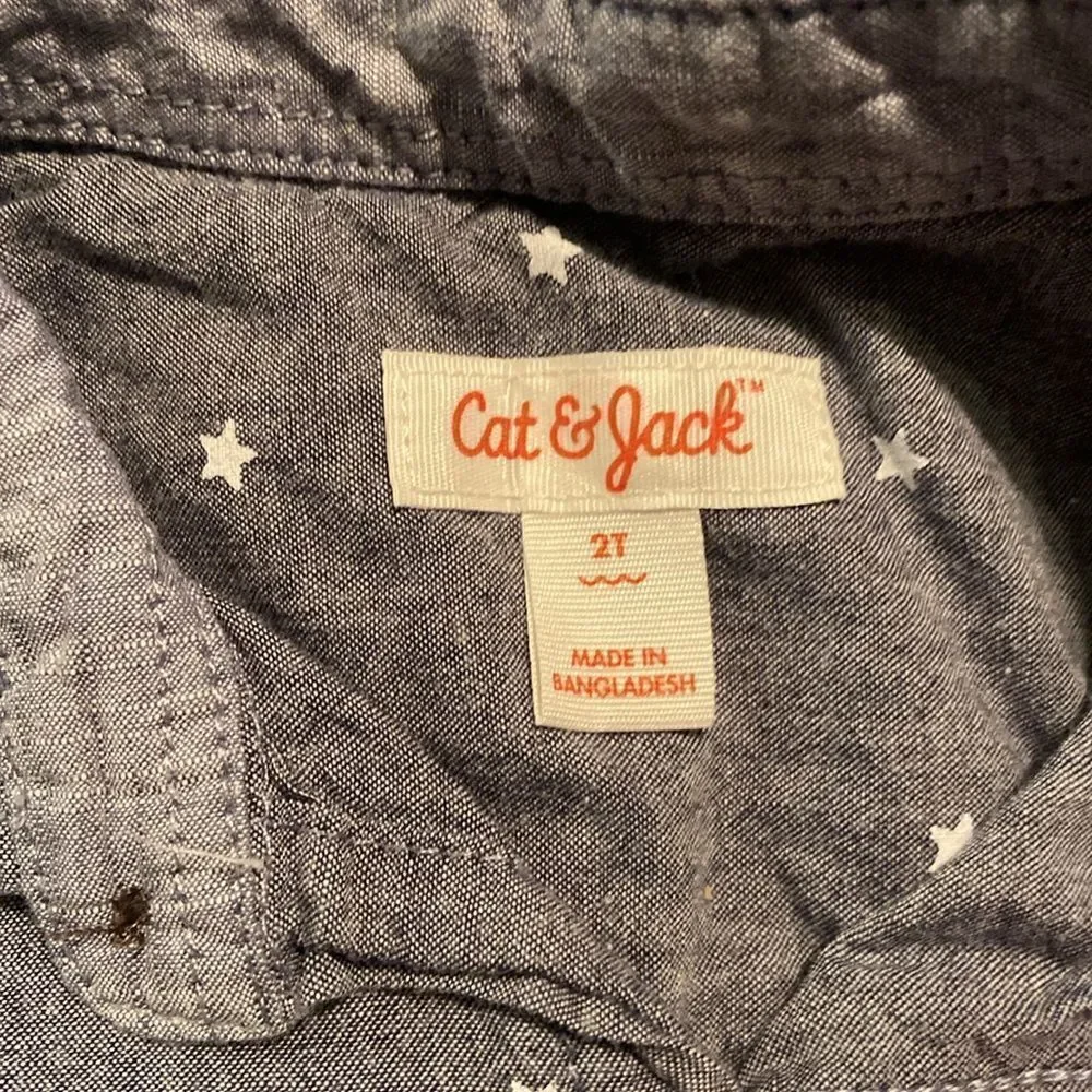 Boys lot of 2T Button Down Shirts Crewcuts, Carter, Gap & Cat & Jack